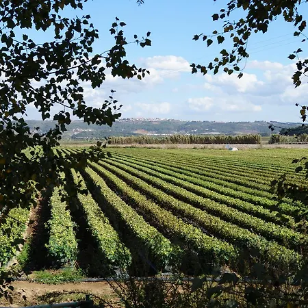 Quinta Da Azenha Guest house