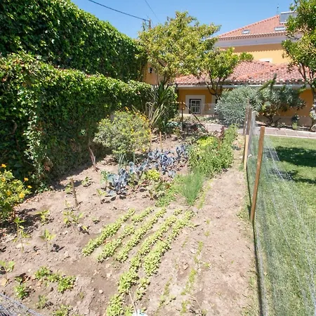 Quinta Da Azenha Affittacamere